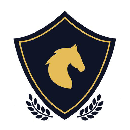 Centru de echitație și hipoterapie Hipopas - Băița